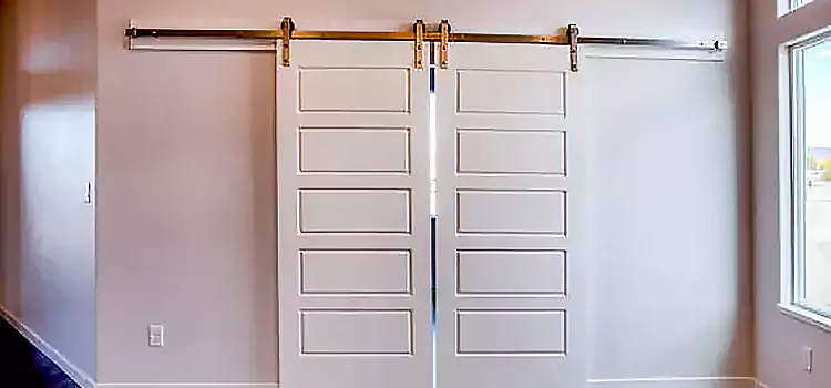 Glass Barn Door with Installation Hardware Kit Chula Vista